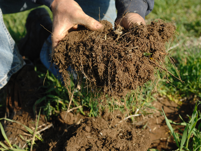 There&#039;s still time to build some organic matter by using cover crops in spots where crops drowned out or didn&#039;t get planted. (DTN/The Progressive Farmer photo by Jim Patrico)